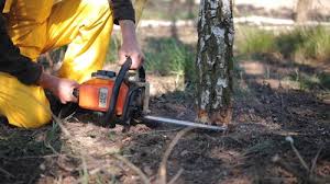 Best Seasonal Cleanup (Spring/Fall)  in South River, NJ