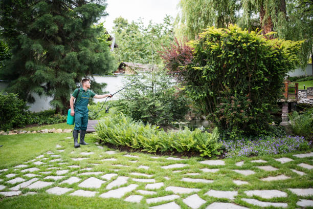 Best Stump Grinding and Removal  in South River, NJ