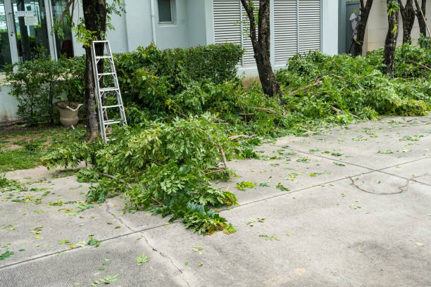 Best Grass Overseeding  in South River, NJ