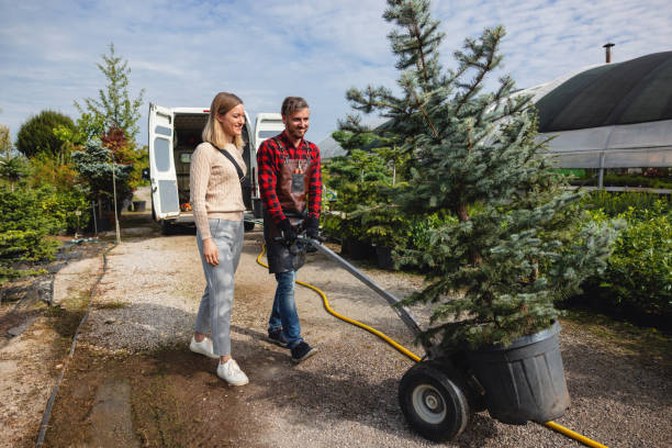 Best Firewood Processing and Delivery  in South River, NJ
